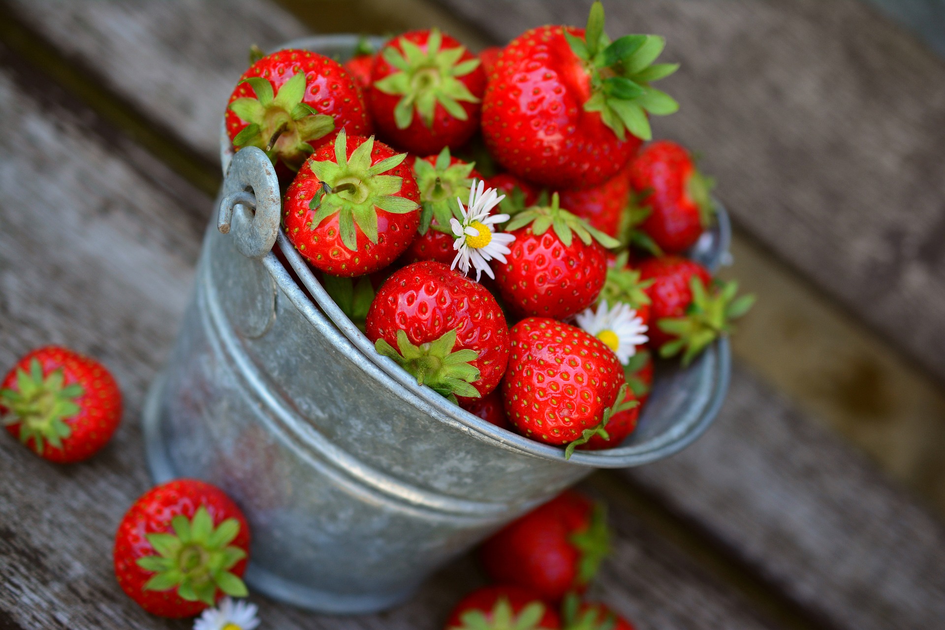 eesti-veini-ja-toidu-sobitamine-mamm&frukt-pärnu-veinimaja-rosé-vein-maasikas-ebaküdooniaga-maasikad-ämbris